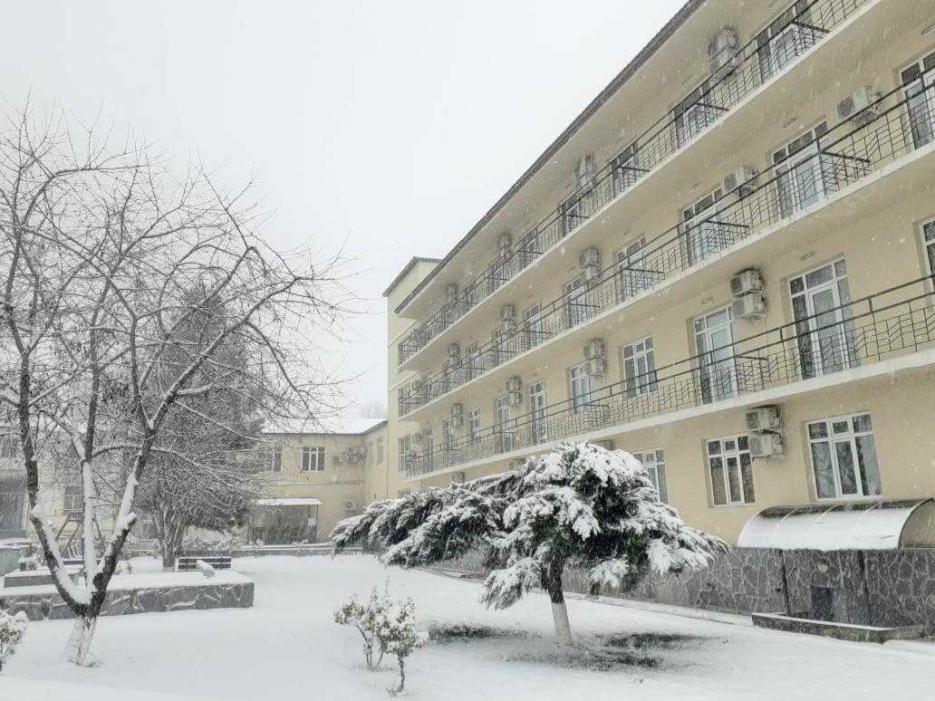 Gabala Hotel Dasca エクステリア 写真